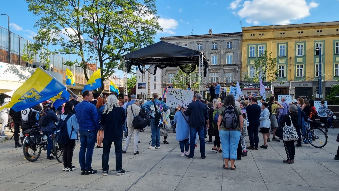 Demonstracja w obronie Żabich Dołów 1