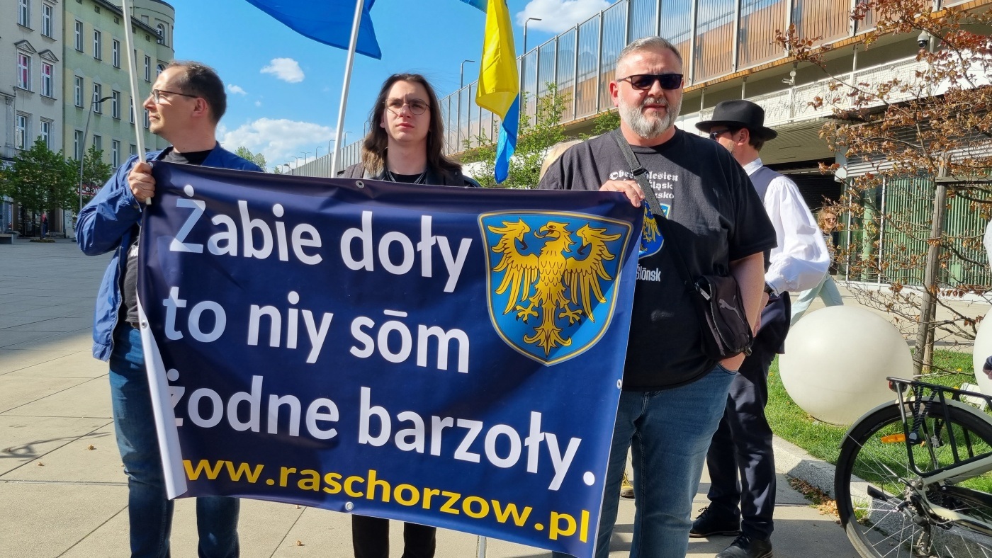 Demonstracja w obronie Żabich Dołów 10