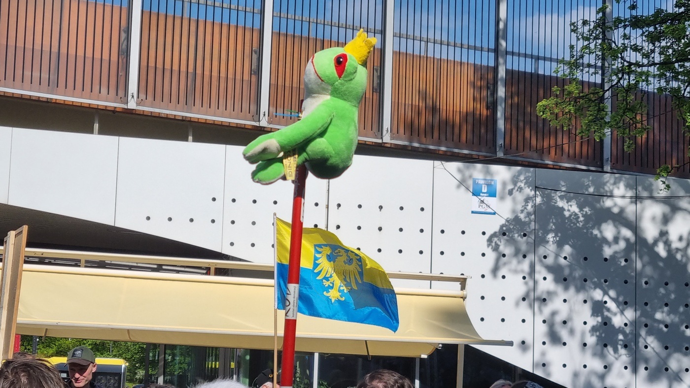 Demonstracja w obronie Żabich Dołów 11