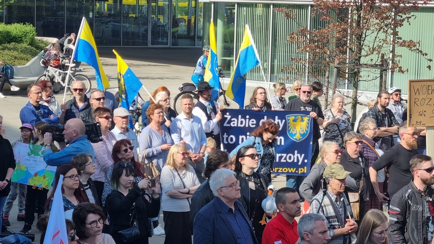 Demonstracja w obronie Żabich Dołów 12