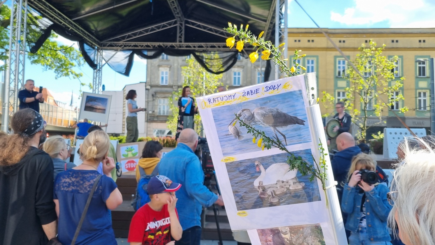 Demonstracja w obronie Żabich Dołów 2