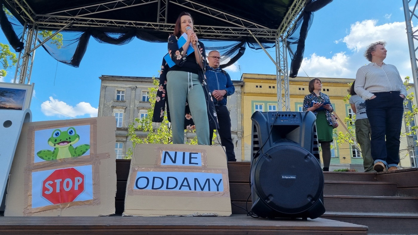 Demonstracja w obronie Żabich Dołów 4