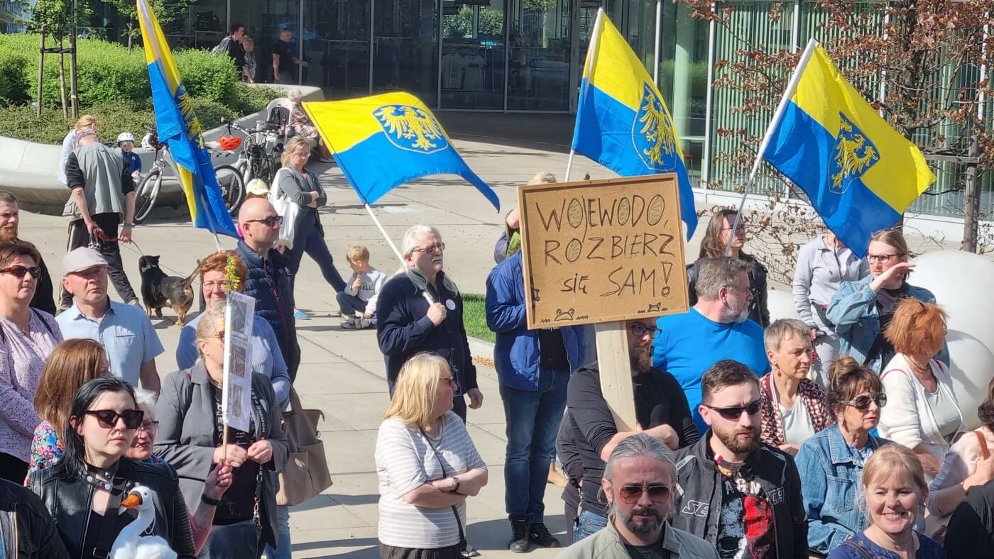 Demonstracja w obronie Żabich Dołów 7