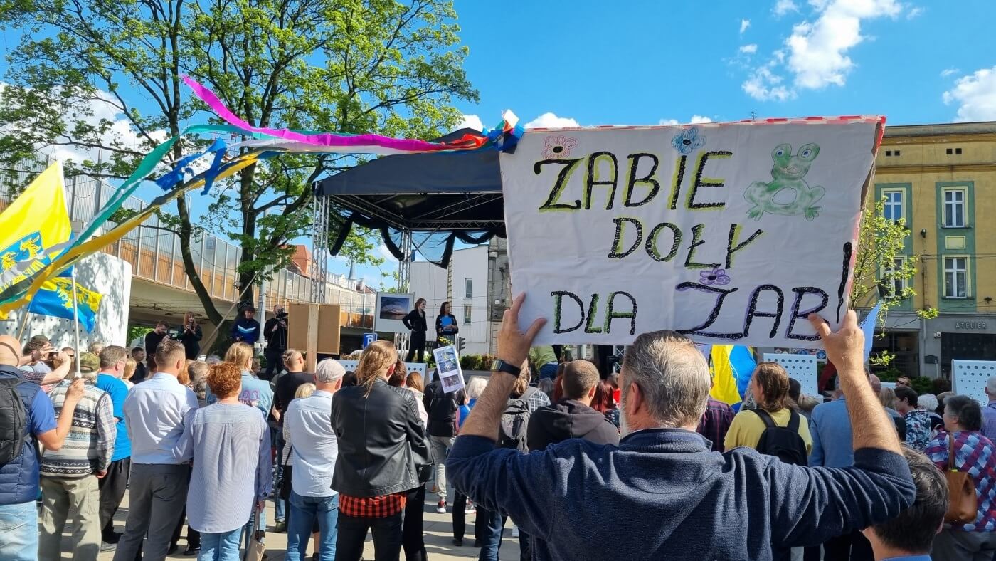 Demonstracja w obronie Żabich Dołów 9