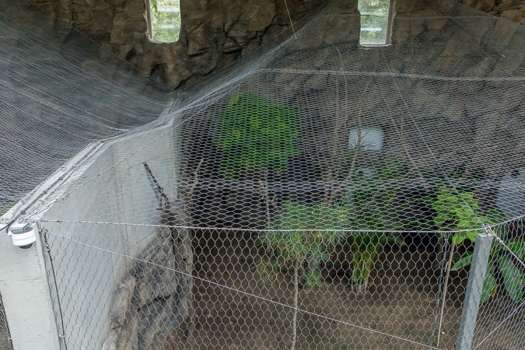 Las deszczowy w śląskim zoo prawie gotowy Zobaczcie jak się prezentuje 15