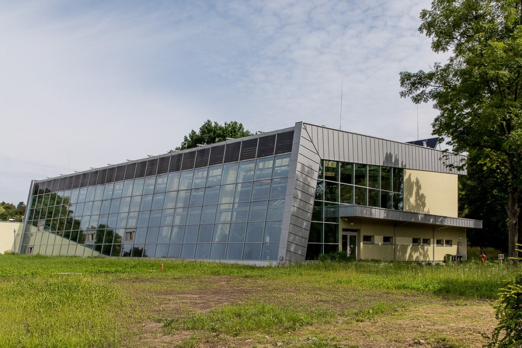 Las deszczowy w śląskim zoo prawie gotowy Zobaczcie jak się prezentuje 37