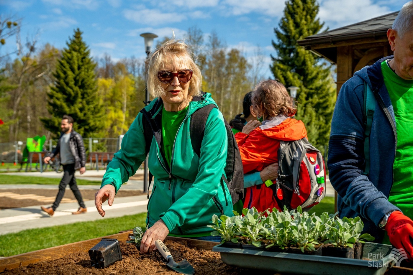 Park Śląski Ogród Społeczności Parkowej 4