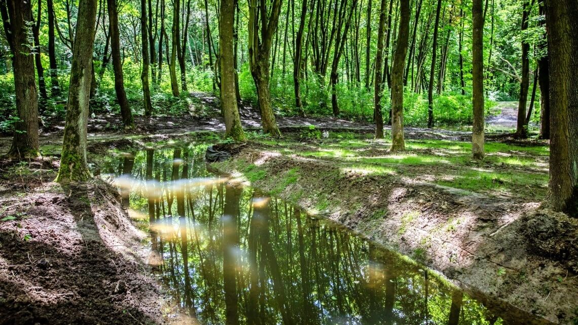 Park Śląski Odbudowany polder przeciwpowodziowy 4