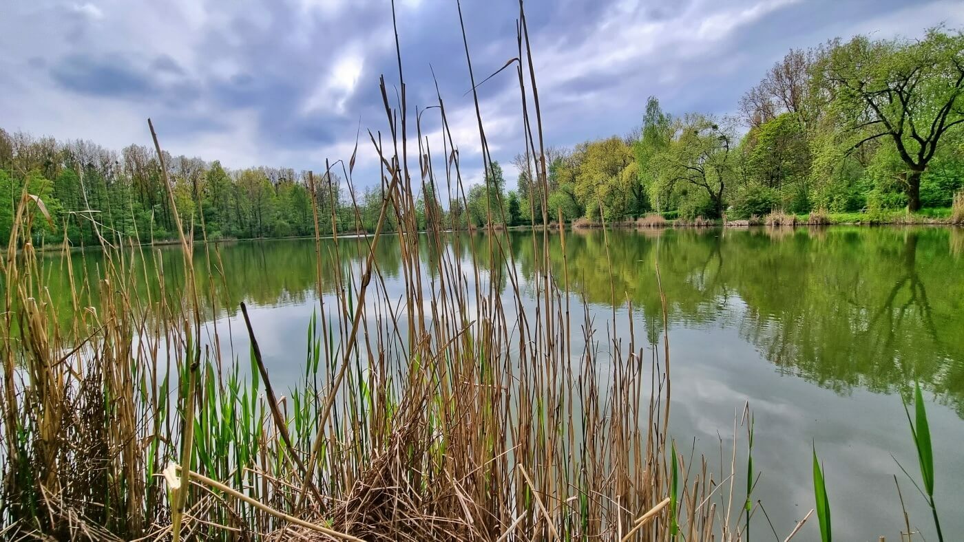 Chorzów. Dolina Górnika