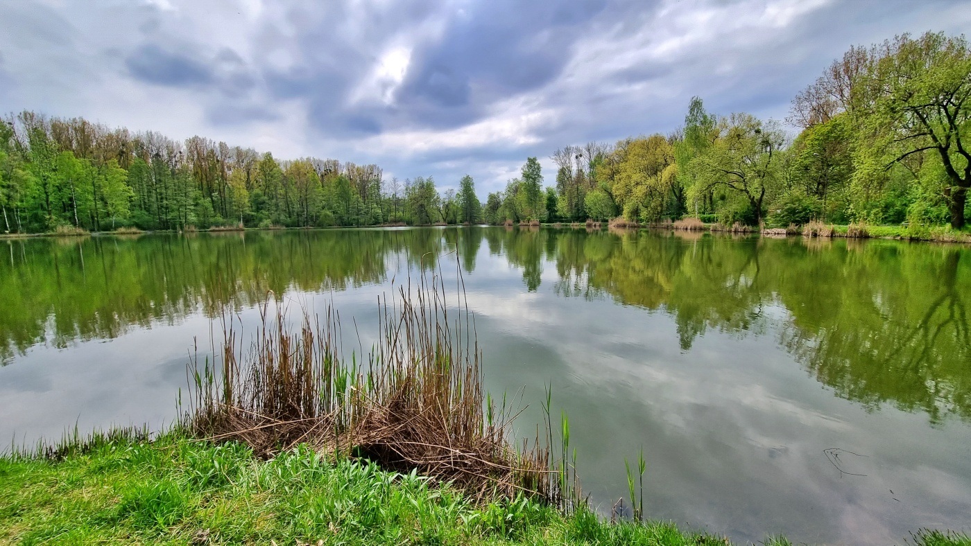 Chorzów. Dolina Górnika