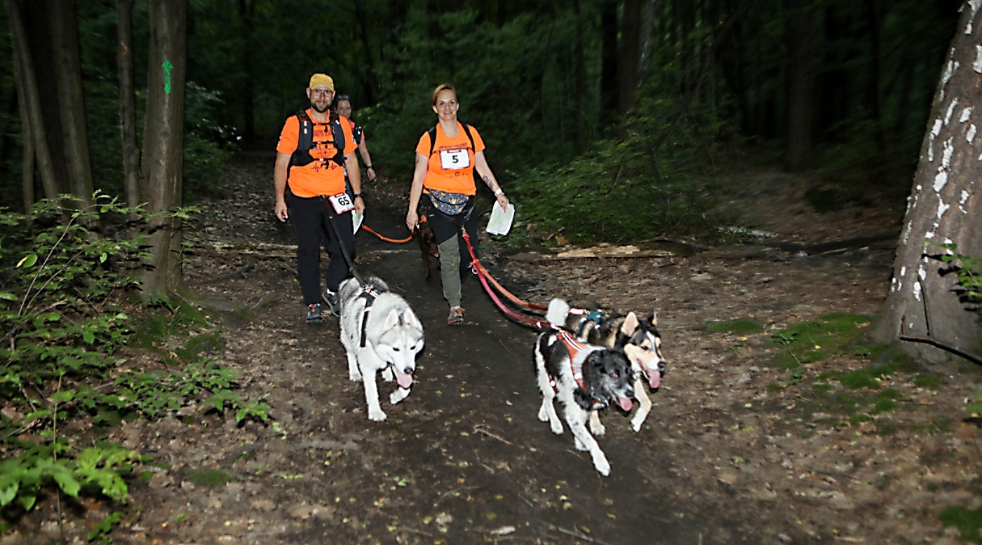 W Parku Śląskim odbędzie się nocna edycja Pucharu Polski w Dogtrekkingu