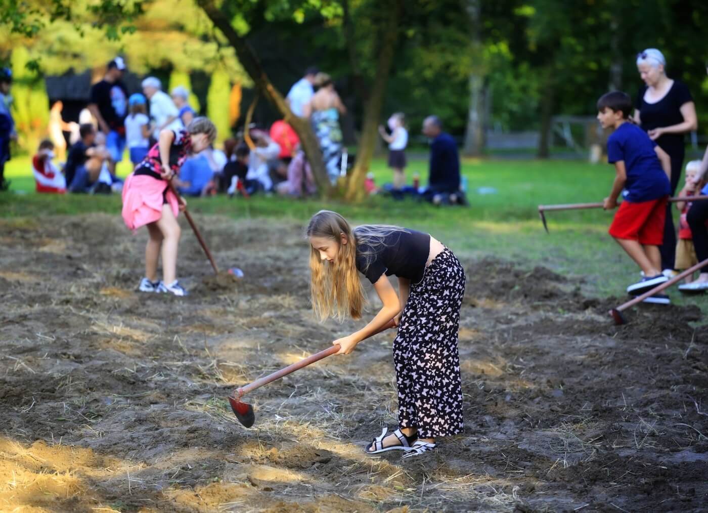 Dzien kartofla skansen 11