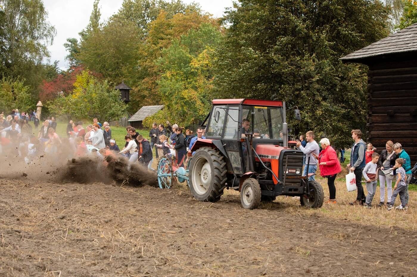 Dzien kartofla skansen 2