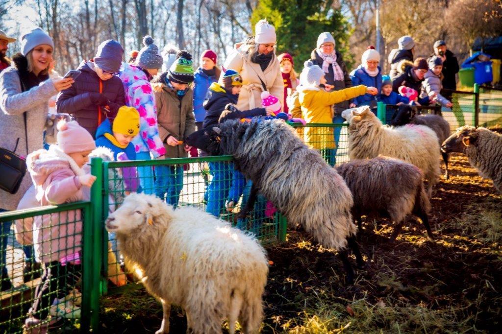 Etnoferie skansen 4