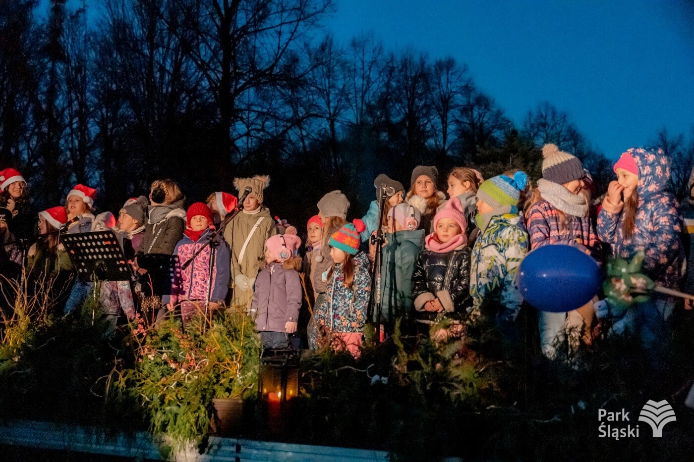 Kulinarny ogien rozswietlenie choinki park slaski 27