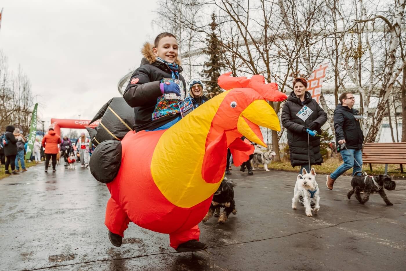 Park slaski bieg wosp 10